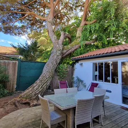 Bagatelle A 300m De La Centrale, 3 Nyaraló *