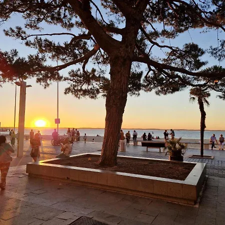 Bagatelle à 300m De La Centrale, 3 * Arcachon