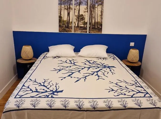 Bagatelle A 300m De La Centrale, 3 بيت للعطل آركاشو