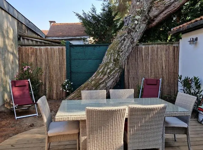 Bagatelle A 300m De La Centrale, 3 Arcachon